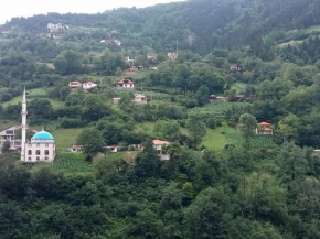 Hamsiköy green garden
